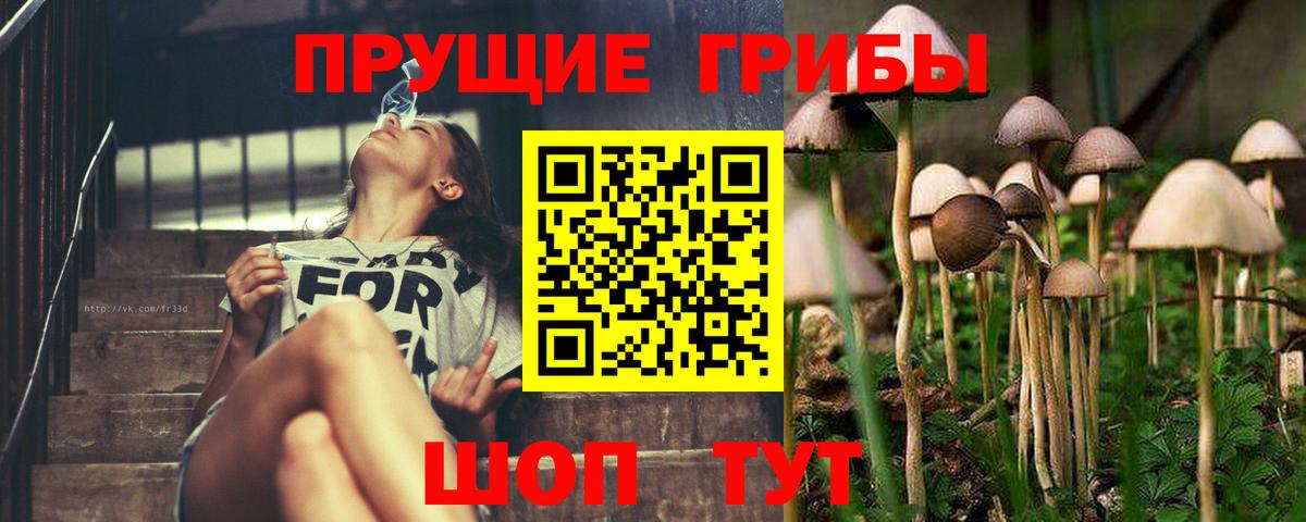 Псилоцибиновые грибы MAGIC MUSHROOMS Кунгур